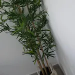 Sun 312 Διαμέρισμα *